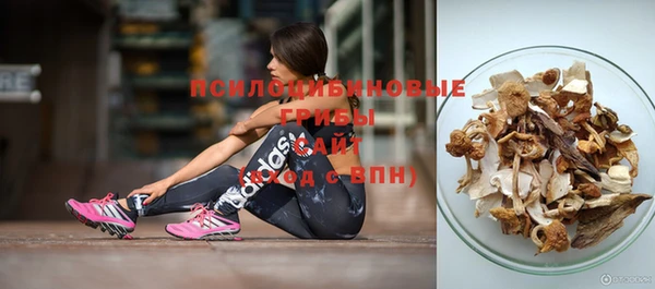 гидропоника Горнозаводск