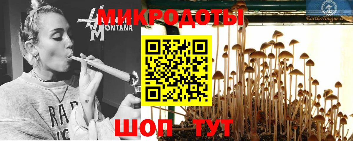 Галлюциногенные грибы Psilocybine cubensis Одинцово