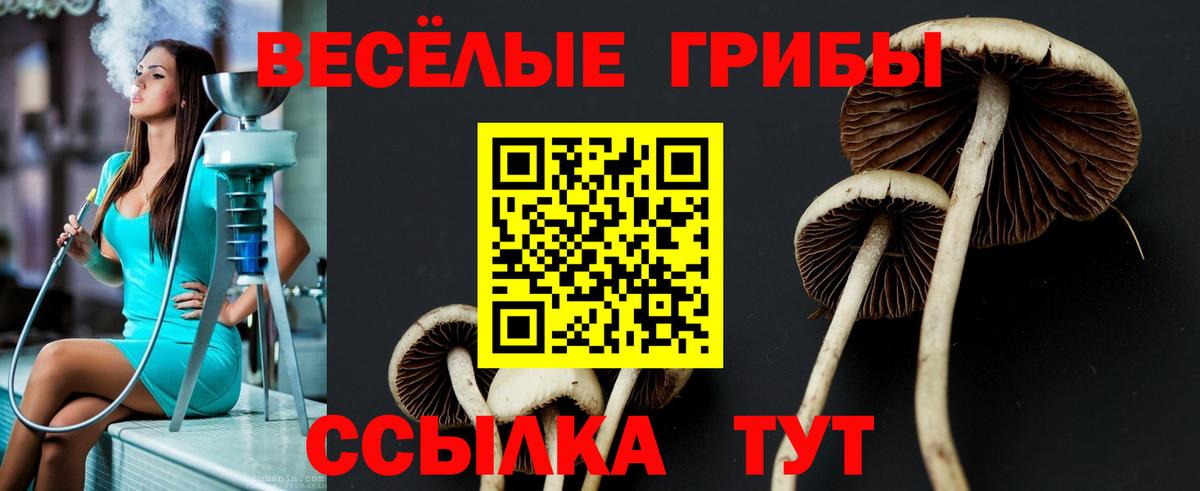 Галлюциногенные грибы GOLDEN TEACHER  Вход с VPN  Одинцово 